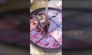 Chinese diners make nauseating discovery of another dead mouse in hotpot
