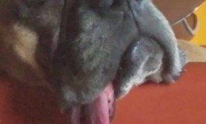 Serious Case of Side Tongue