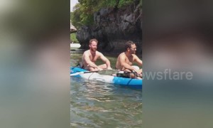 Bizarre moment 'ewok-like troll monkeys' make strange noise on Thai island