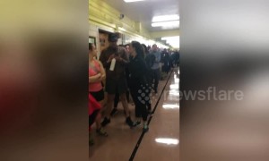 Long voting line snakes through corridors in Brooklyn after machines break