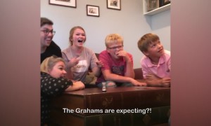Funniest Gender Reveals and Pregnancy Announcements