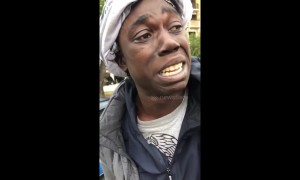 "I literally think I just saved someone's life" - member of public helps diffuse tense police standoff