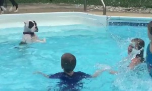 Dog mimics kids in pool after learning how to splash