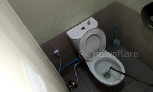 10ft long python caught in toilet after biting Thai man's penis