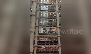 Poppies fall from the sky as Lloyds of London marks Remembrance Day