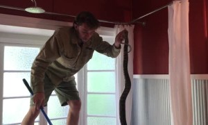 Catching a Snake, Literally