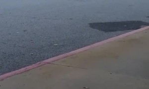 Shopping Buggy Return Hack