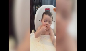 Cute Baby Falls Asleep while Eating her Dinner