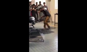 Full grown cobra retrieved from under BMW hood in India