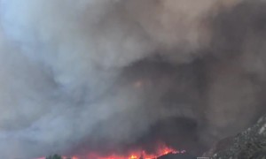 Emotional Escape from Fires in California