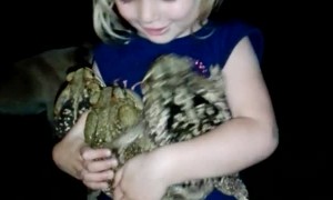 Girl Hugs Toads