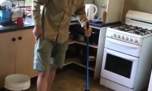 Eastern Brown Snake Hiding Under the Fridge