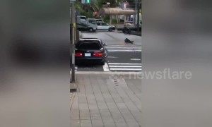 Reckless driver arrested by six cops for doing donuts on busy road