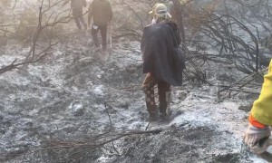 Local Malibu boys battling fires receive $10k donation from Bella Hadid