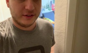 Cat Visits Owner in Bathroom Every Morning