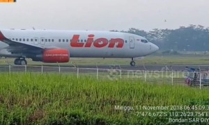 Planes halted on runway at Indonesian airport by invasion of birds