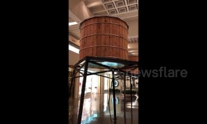 Stairway to heaven? Art installation mesmerises with endless ladder