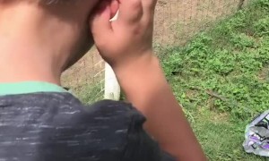 Golden Orb Weaver Spider Busy Working