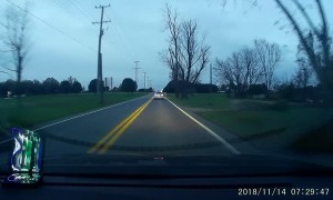Deer Attempts to Jump over Moving Car