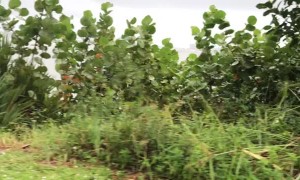 Water Spout Spotted on Florida Waters