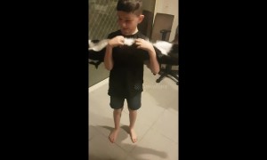 Adorable rescue cat 'planks' when human brother scratches its tummy