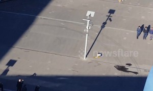 Talented dog skateboards outside the Emirates Stadium