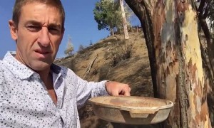 Man Finds Cat a Week After Woolsey Fire