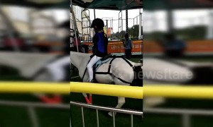 Chinese merry-go-round with real horses kicks up controversy