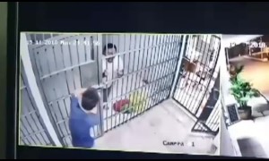 Prisoner escapes after tricking policeman by claiming there was a snake inside cell