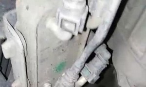 Lucky Little Kitten Rescued from Land Rover