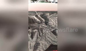 Art teacher makes amazing drawings out of dust on dirty cars
