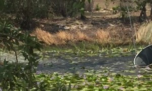 Helicopter Fills Bucket of Water for Wildfire Efforts