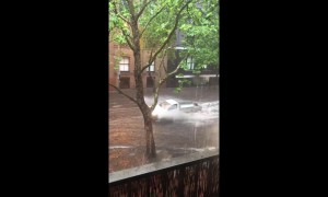 Flash flooding in Sydney causes commuter chaos