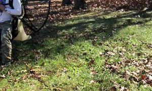 One Way to Rake Leaves