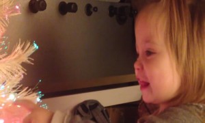 Little Girl is Amazed by her Glowing Christmas Tree