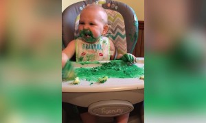 Babies VS Cake