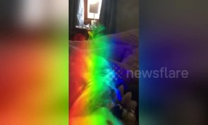 Morning magic: smoke catches light from a prism
