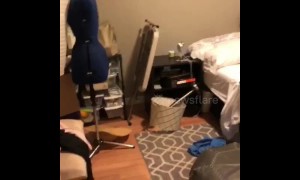 Devastation in home as 7.0 earthquake rocks Alaska