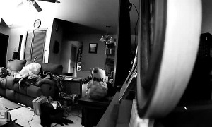 Fierce Anchorage Earthquake