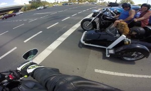 Dog Riding in Motorcycle Sidecar