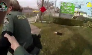 Bodycam captures fleeing robbery suspect crashing Into Deputy's vehicle