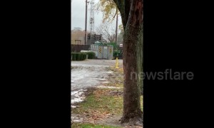 Footage shows Camp Fire evacuees' tents and personal belongings being thrown into dumpster