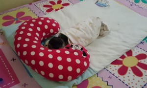 Pug Sleeps like a Baby