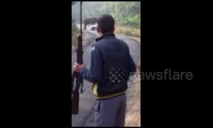 Elephant flips over car driving through national park in north India