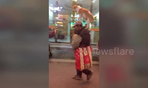Man strolls down street in eastern Chinese city with dog balanced expertly on his head