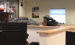 Taking a Break at Work for a Swim