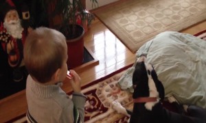 Toddler and Dog Just want to Make Music!