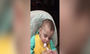 Cute Baby Falls Asleep during Dinner
