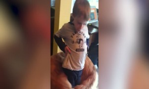 Pup Just wants to Hold onto his Favorite Little Human