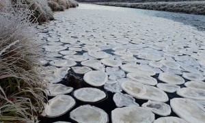 Unusual Ice Forms Pancakes on River